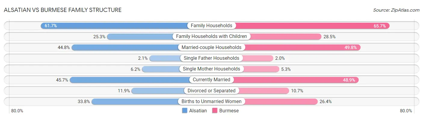 Alsatian vs Burmese Family Structure