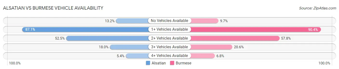 Alsatian vs Burmese Vehicle Availability