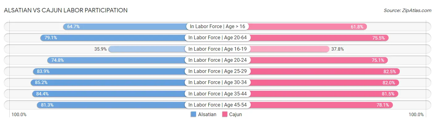 Alsatian vs Cajun Labor Participation