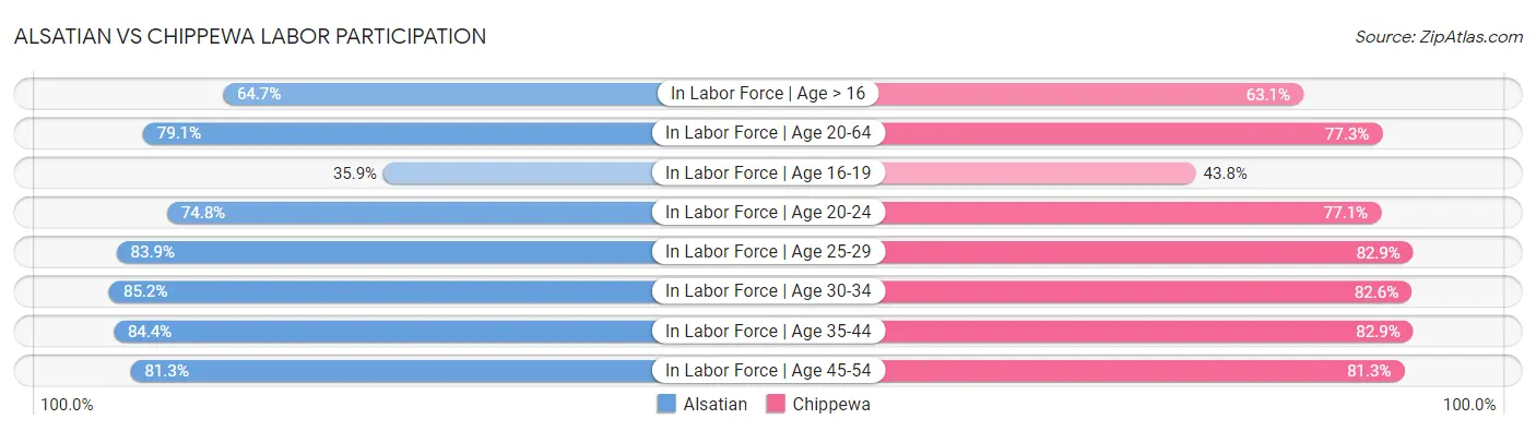 Alsatian vs Chippewa Labor Participation
