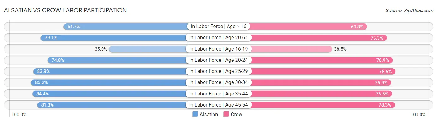 Alsatian vs Crow Labor Participation