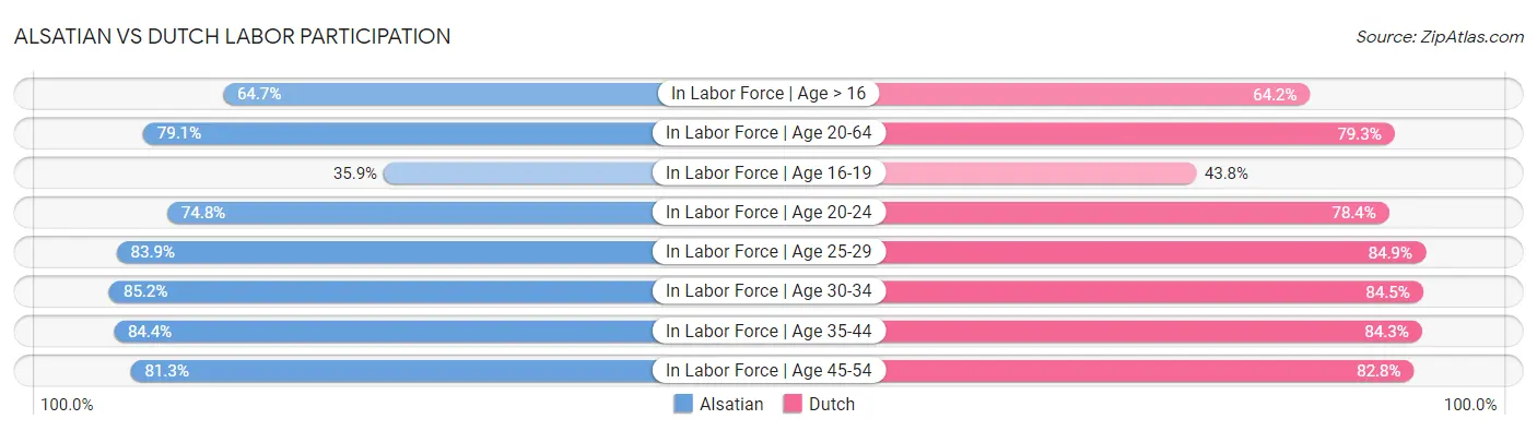 Alsatian vs Dutch Labor Participation