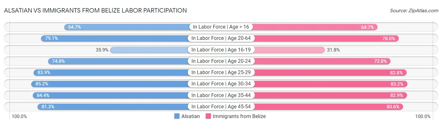 Alsatian vs Immigrants from Belize Labor Participation