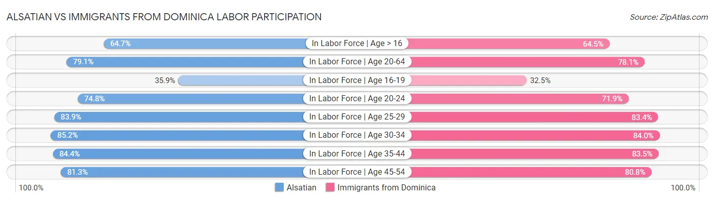 Alsatian vs Immigrants from Dominica Labor Participation