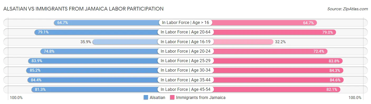Alsatian vs Immigrants from Jamaica Labor Participation