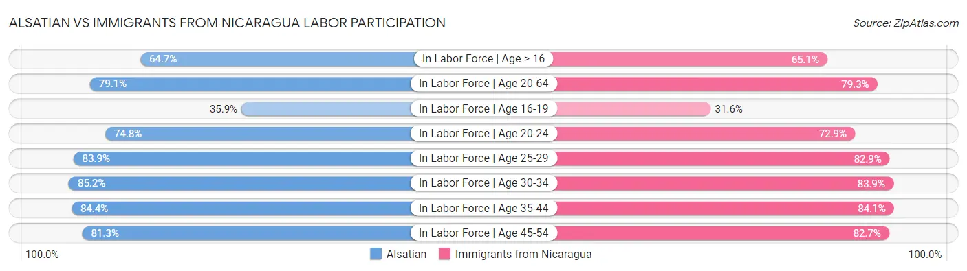 Alsatian vs Immigrants from Nicaragua Labor Participation