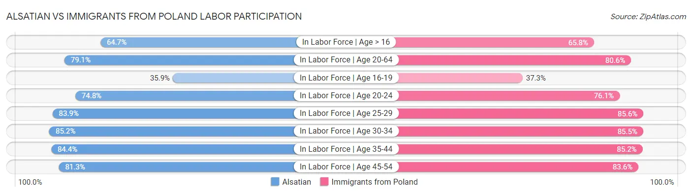 Alsatian vs Immigrants from Poland Labor Participation