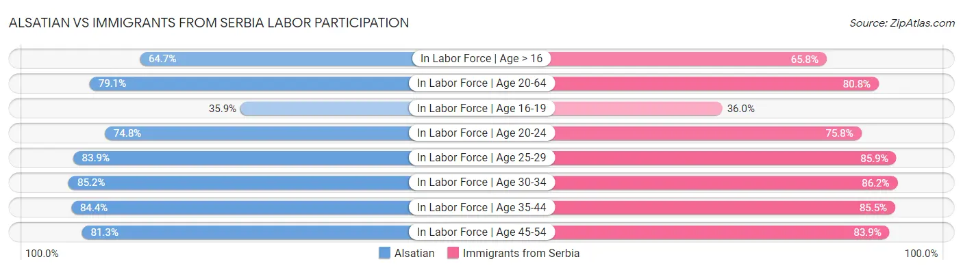 Alsatian vs Immigrants from Serbia Labor Participation