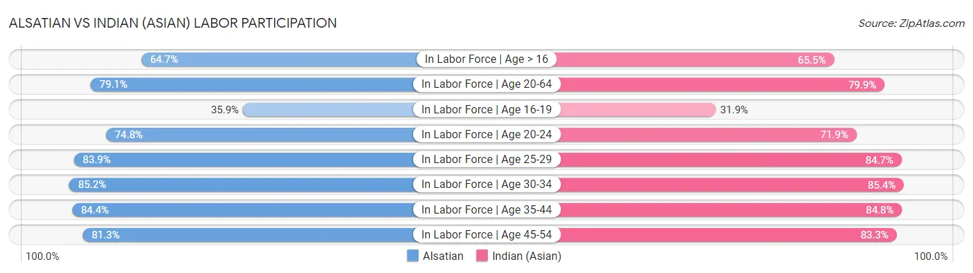 Alsatian vs Indian (Asian) Labor Participation