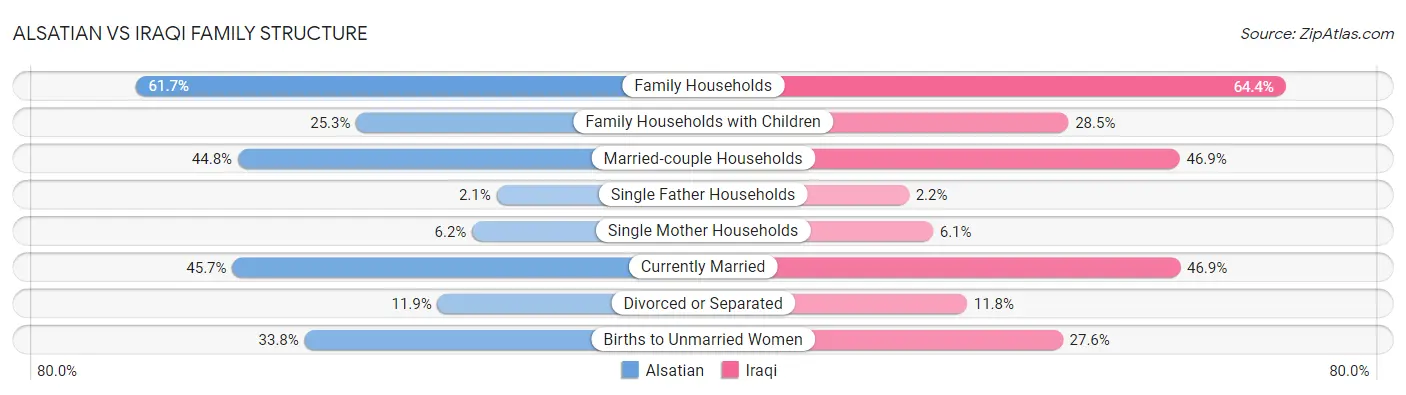 Alsatian vs Iraqi Family Structure