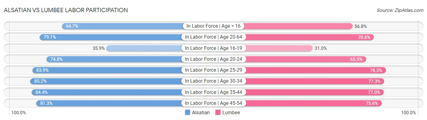 Alsatian vs Lumbee Labor Participation
