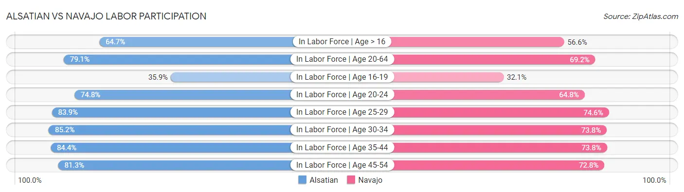 Alsatian vs Navajo Labor Participation