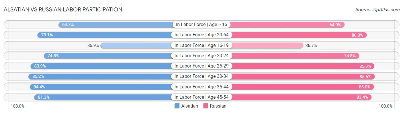 Alsatian vs Russian Labor Participation