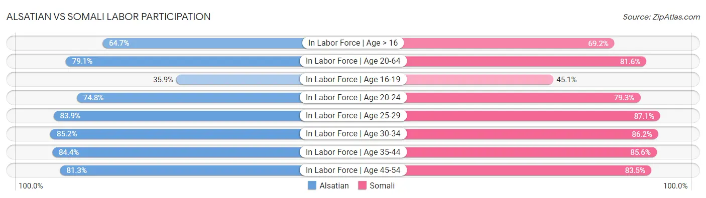 Alsatian vs Somali Labor Participation