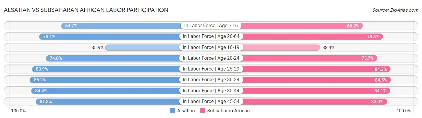 Alsatian vs Subsaharan African Labor Participation