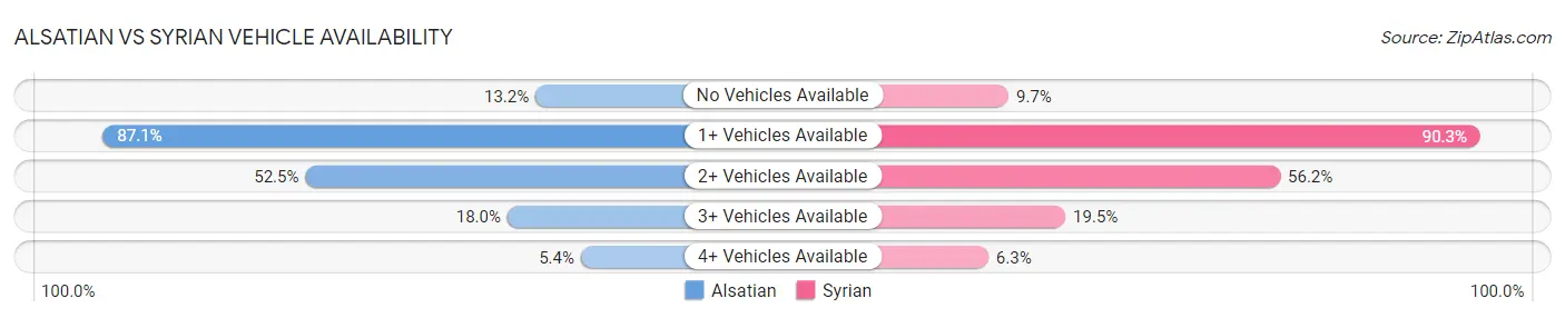 Alsatian vs Syrian Vehicle Availability