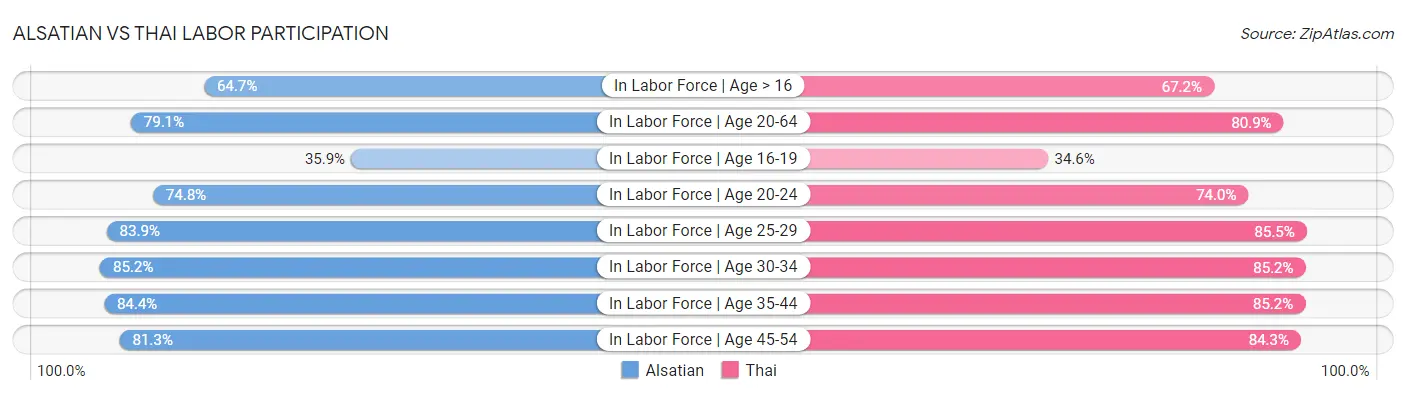 Alsatian vs Thai Labor Participation