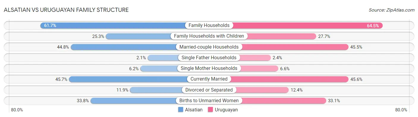 Alsatian vs Uruguayan Family Structure