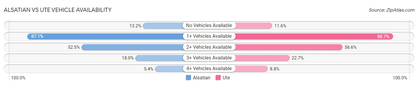 Alsatian vs Ute Vehicle Availability