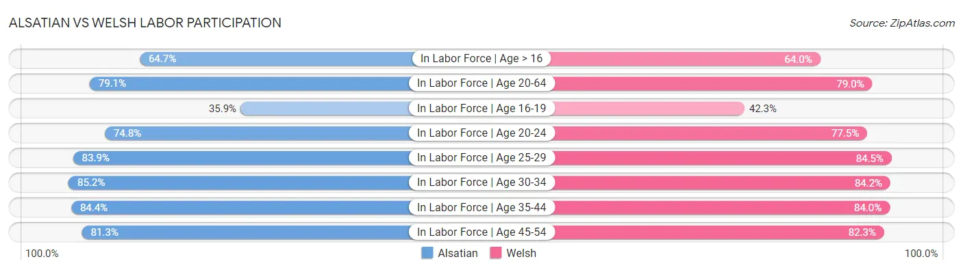 Alsatian vs Welsh Labor Participation