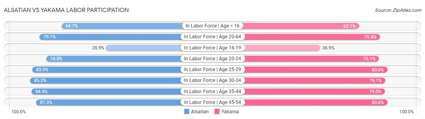 Alsatian vs Yakama Labor Participation