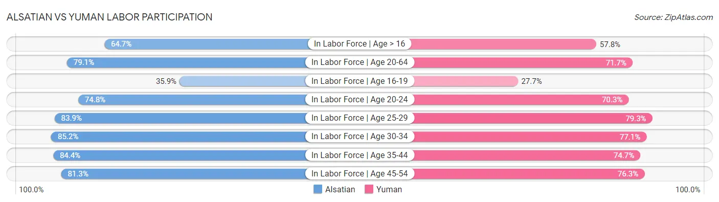 Alsatian vs Yuman Labor Participation