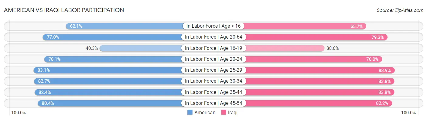 American vs Iraqi Labor Participation