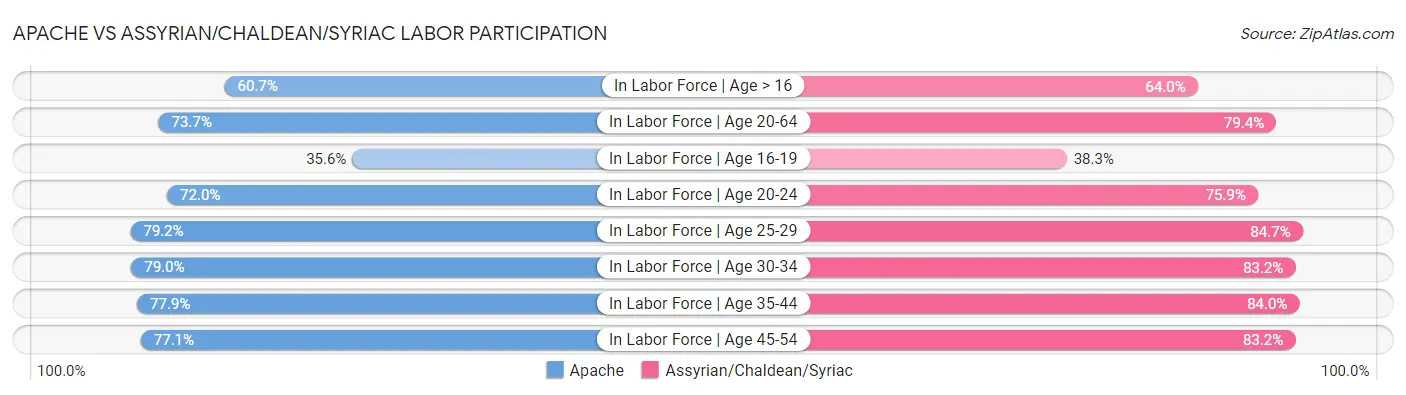 Apache vs Assyrian/Chaldean/Syriac Labor Participation