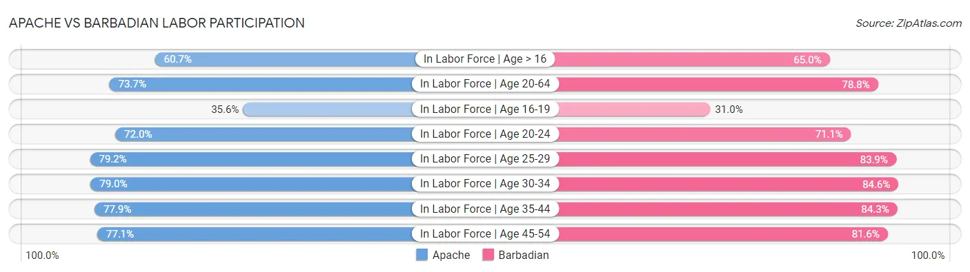 Apache vs Barbadian Labor Participation