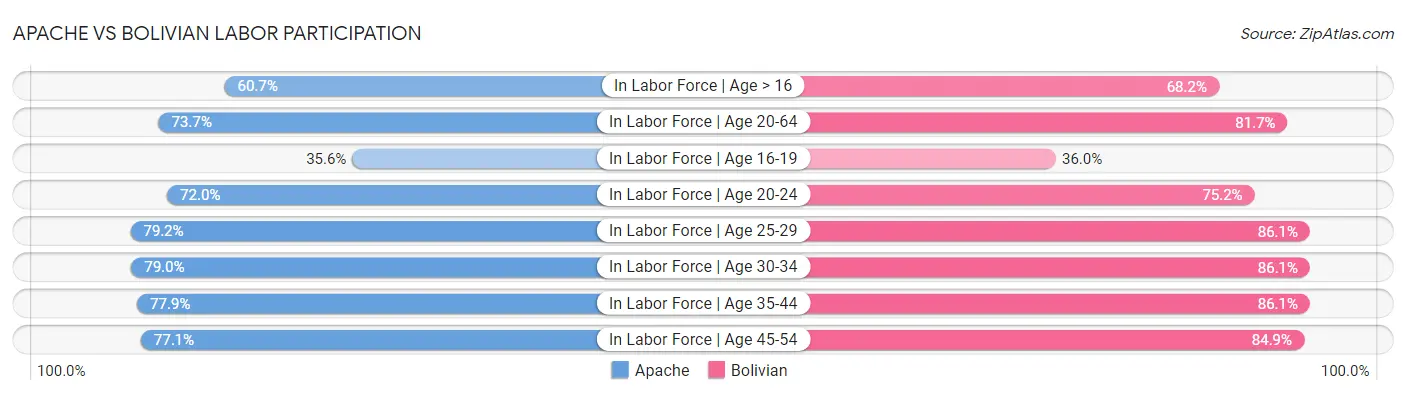 Apache vs Bolivian Labor Participation