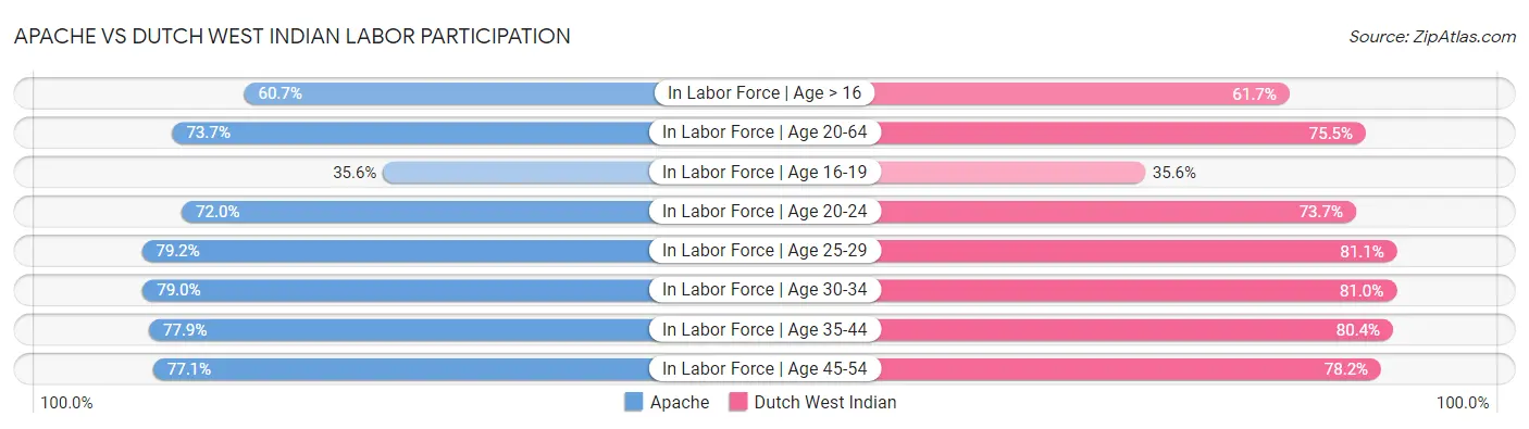 Apache vs Dutch West Indian Labor Participation