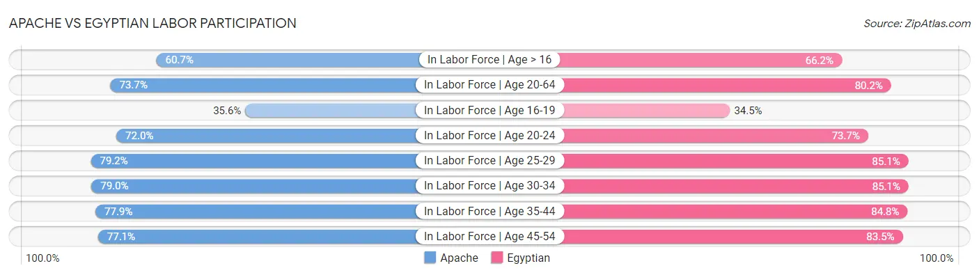Apache vs Egyptian Labor Participation