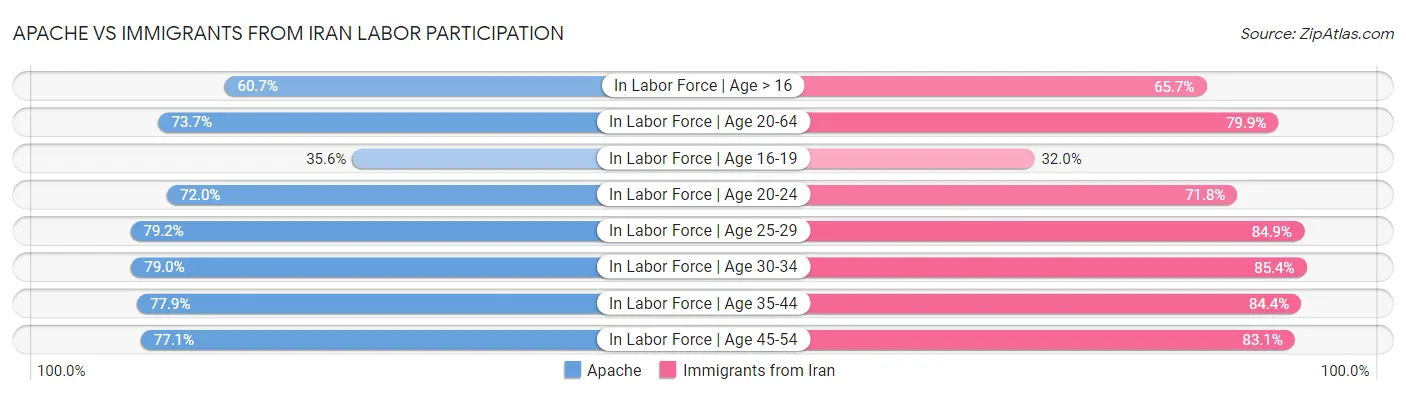 Apache vs Immigrants from Iran Labor Participation