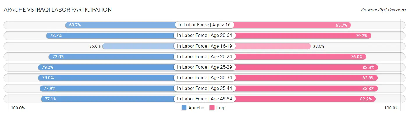 Apache vs Iraqi Labor Participation