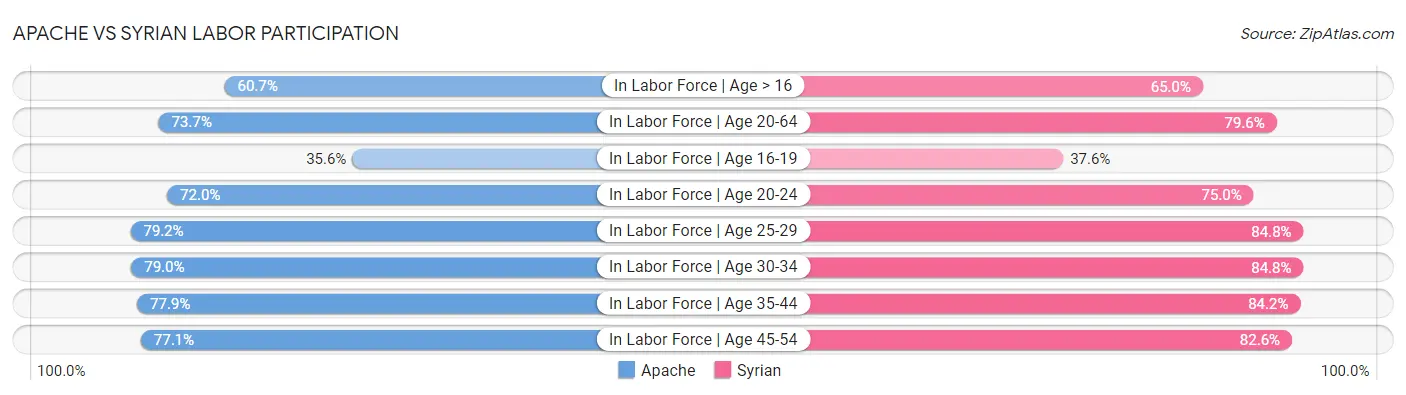 Apache vs Syrian Labor Participation