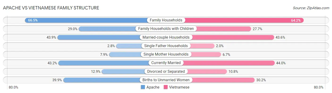 Apache vs Vietnamese Family Structure