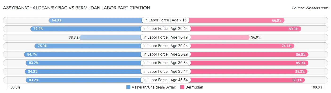 Assyrian/Chaldean/Syriac vs Bermudan Labor Participation