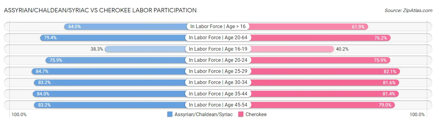Assyrian/Chaldean/Syriac vs Cherokee Labor Participation