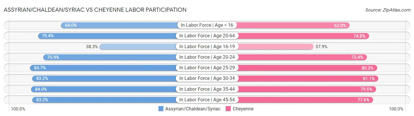 Assyrian/Chaldean/Syriac vs Cheyenne Labor Participation