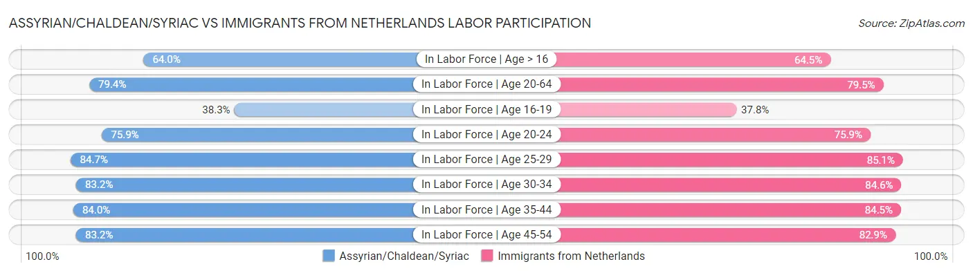 Assyrian/Chaldean/Syriac vs Immigrants from Netherlands Labor Participation
