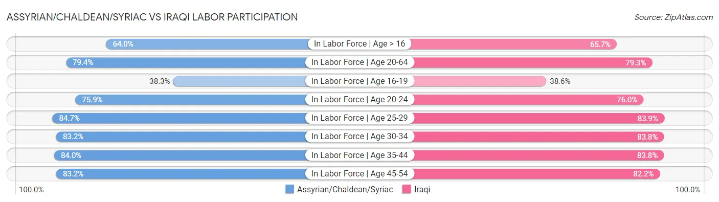 Assyrian/Chaldean/Syriac vs Iraqi Labor Participation
