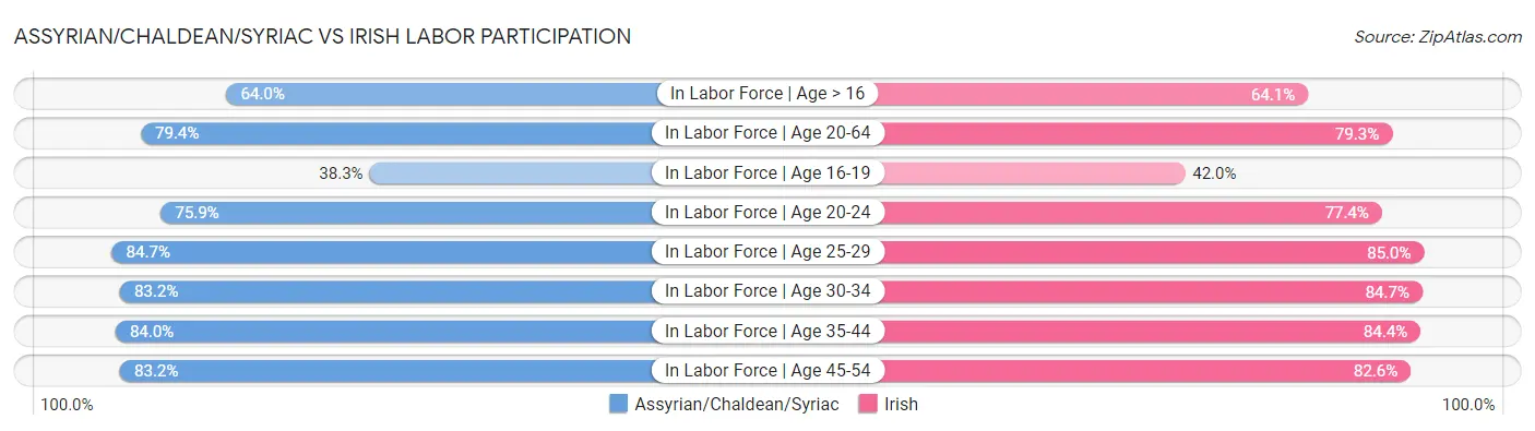 Assyrian/Chaldean/Syriac vs Irish Labor Participation