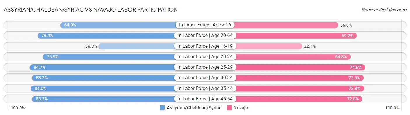 Assyrian/Chaldean/Syriac vs Navajo Labor Participation