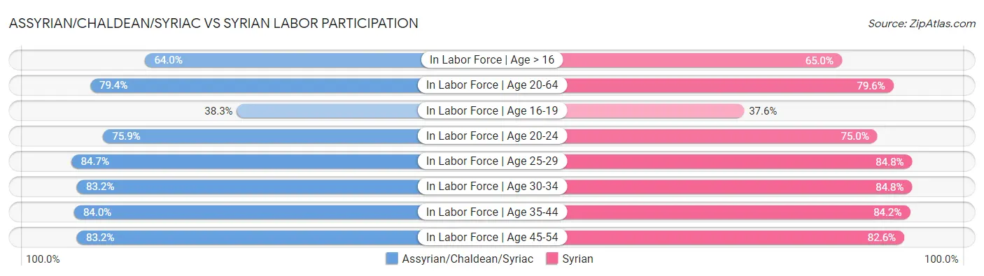 Assyrian/Chaldean/Syriac vs Syrian Labor Participation