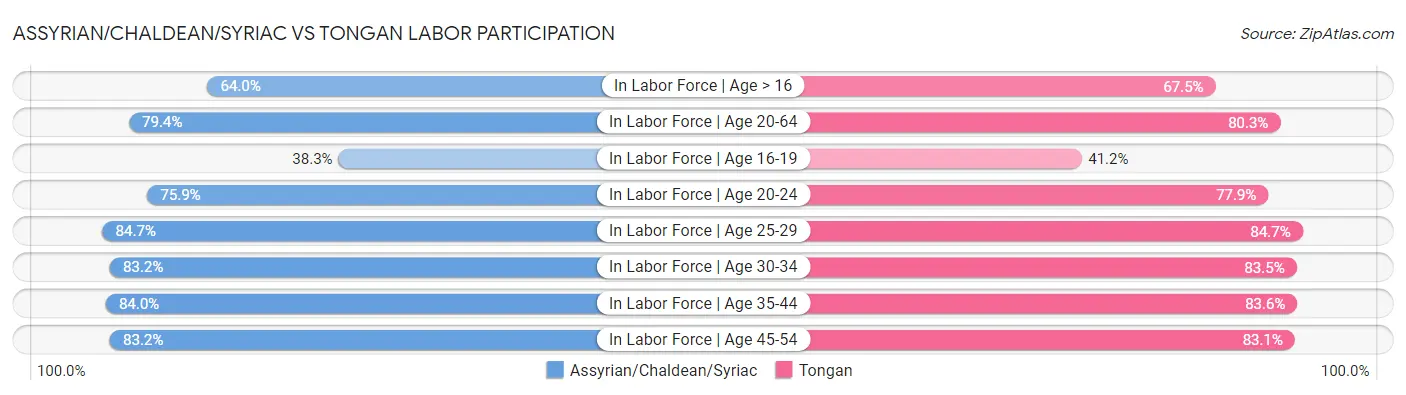Assyrian/Chaldean/Syriac vs Tongan Labor Participation