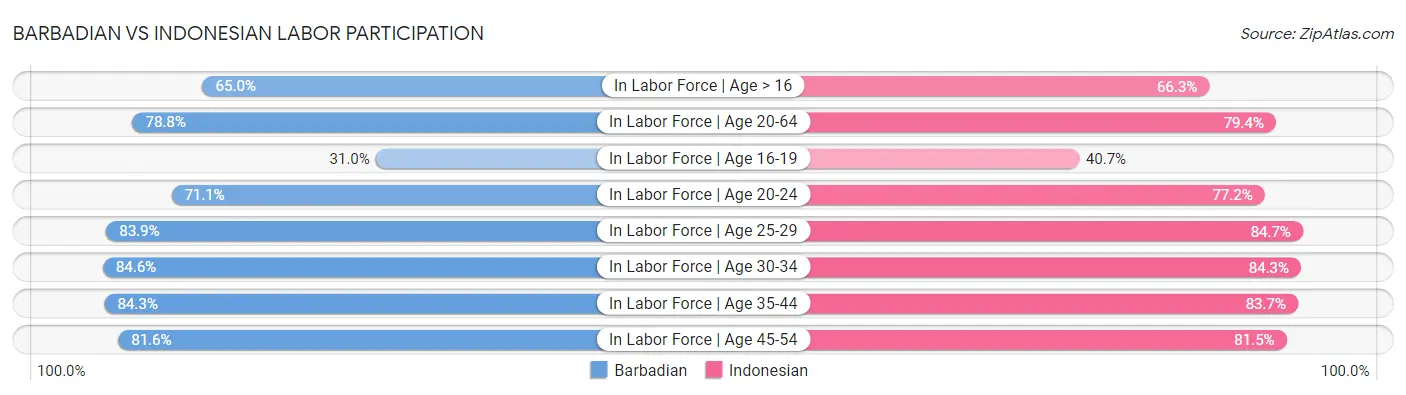 Barbadian vs Indonesian Labor Participation