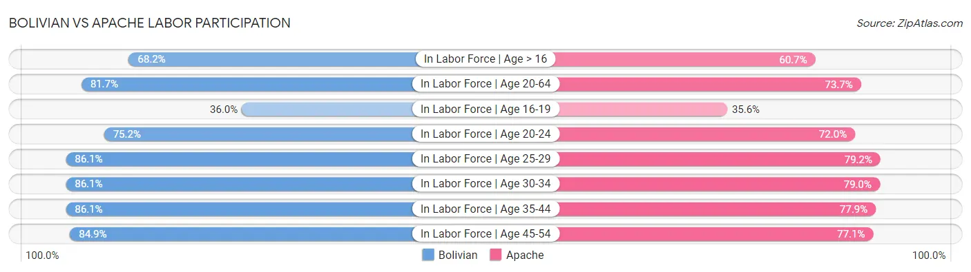Bolivian vs Apache Labor Participation