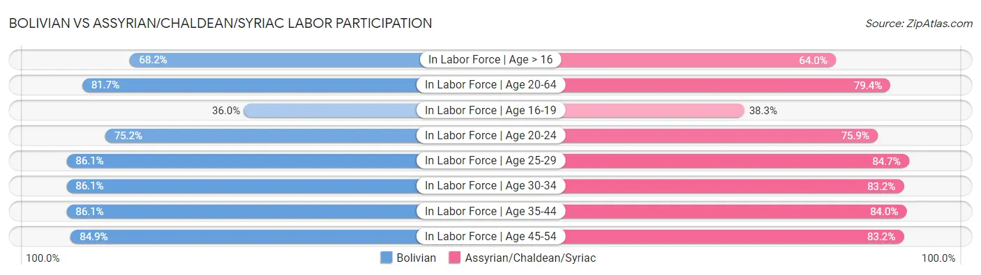 Bolivian vs Assyrian/Chaldean/Syriac Labor Participation