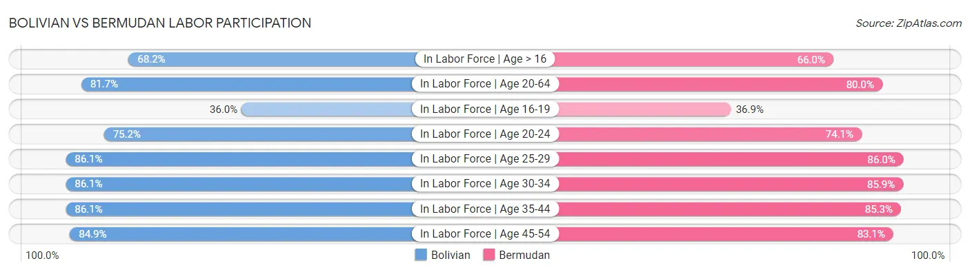 Bolivian vs Bermudan Labor Participation