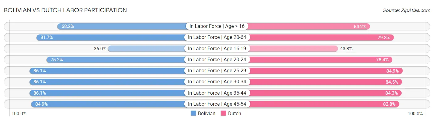 Bolivian vs Dutch Labor Participation